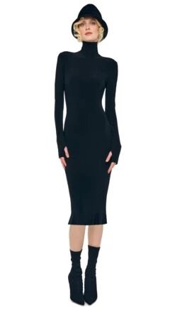 LONG SLEEVE TURTLENECK DRESS