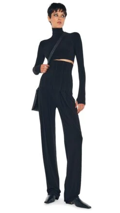 HIGH WAIST TAILORED PLEAT PANT