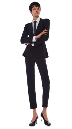 PENCIL PANT -Norma Kamali 11 28 22nk04141