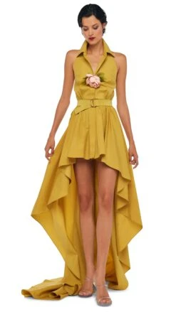 HI LOW NK HALTER FLARED GOWN